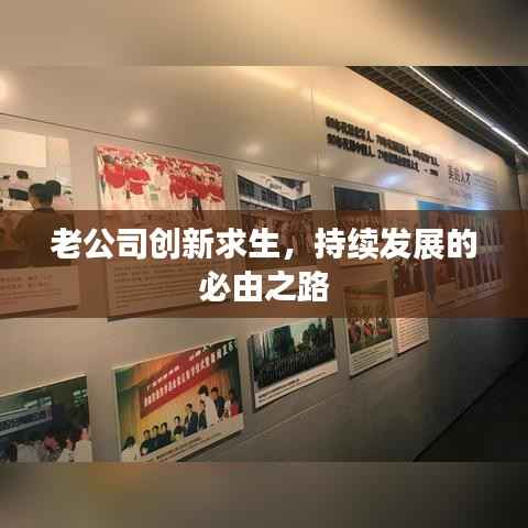 老公司创新求生,持续发展的必由之路
