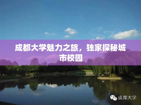 成都大学魅力之旅，独家探秘城市校园