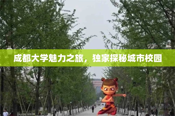 成都大学魅力之旅,独家探秘城市校园