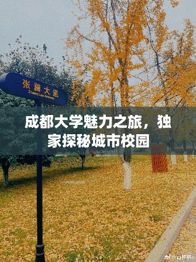 成都大学魅力之旅,独家探秘城市校园