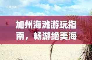 加州海滩游玩指南,畅游绝美海岸线!