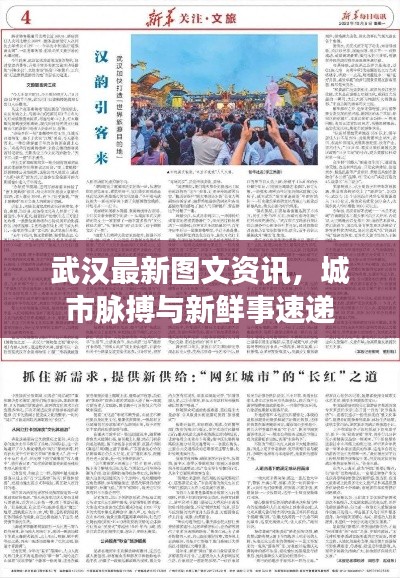 武汉最新图文资讯,城市脉搏与新鲜事速递