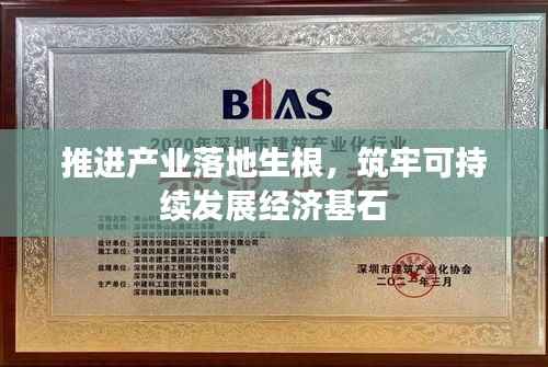 推进产业落地生根，筑牢可持续发展经济基石