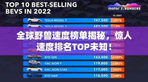 全球野兽速度榜单揭秘,惊人速度排名TOP未知!