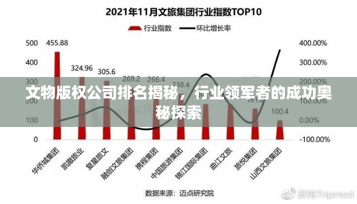 文物版权公司排名揭秘,行业领军者的成功奥秘探索