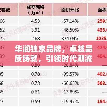 华润独家品牌,卓越品质铸就,引领时代潮流新标杆
