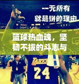 篮球热血魂，坚韧不拔的斗志与励志传奇