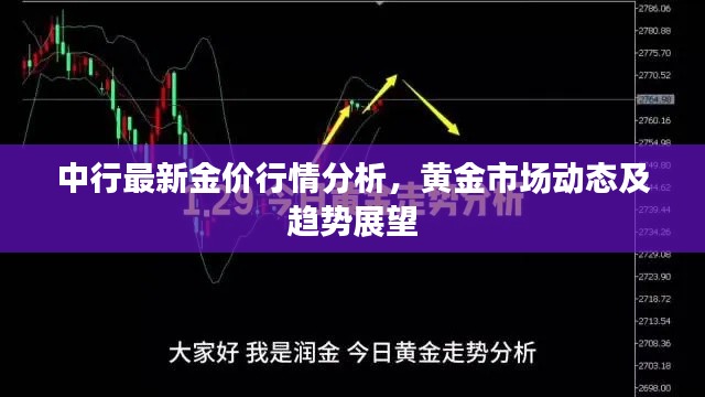 中行最新金价行情分析,黄金市场动态及趋势展望