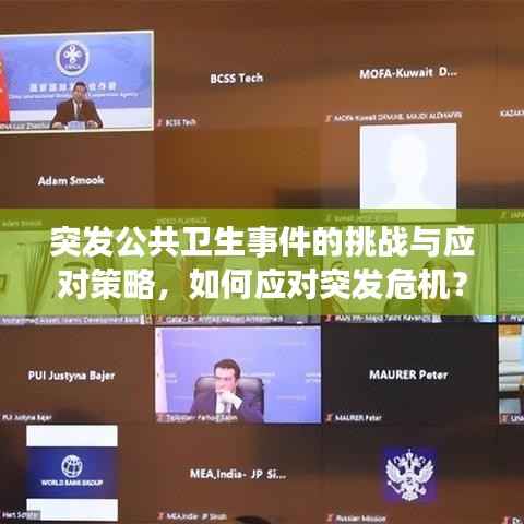 突发公共卫生事件的挑战与应对策略，如何应对突发危机？