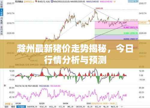 滁州最新猪价走势揭秘，今日行情分析与预测