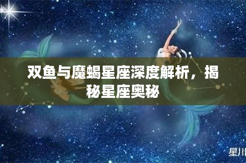 双鱼与魔蝎星座深度解析，揭秘星座奥秘