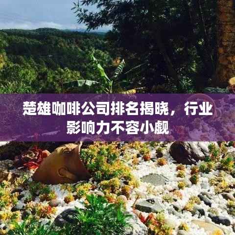 楚雄咖啡公司排名揭晓,行业影响力不容小觑
