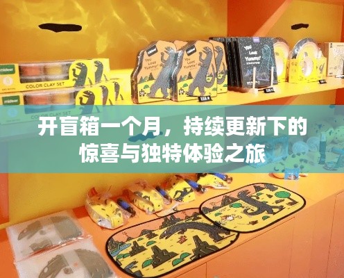 开盲箱一个月，持续更新下的惊喜与独特体验之旅