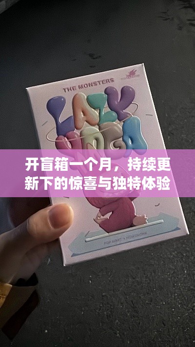 开盲箱一个月,持续更新下的惊喜与独特体验之旅