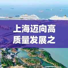 上海迈向高质量发展之路，坚定落实，追求卓越