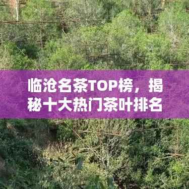 临沧名茶TOP榜,揭秘十大热门茶叶排名!
