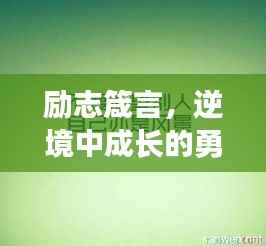 励志箴言,逆境中成长的勇气,让你不再掉价!