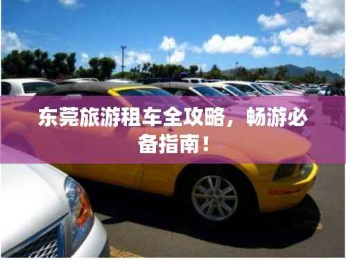 东莞旅游租车全攻略，畅游必备指南！