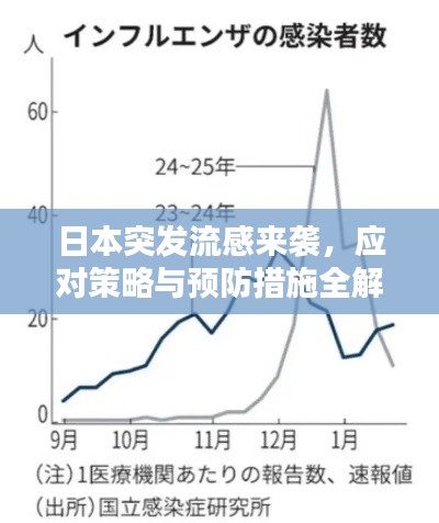日本突发流感来袭，应对策略与预防措施全解析