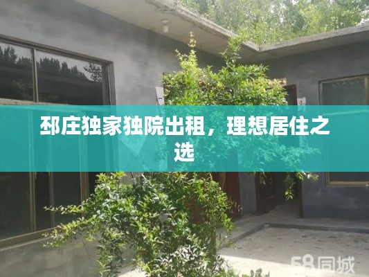 邳庄独家独院出租，理想居住之选