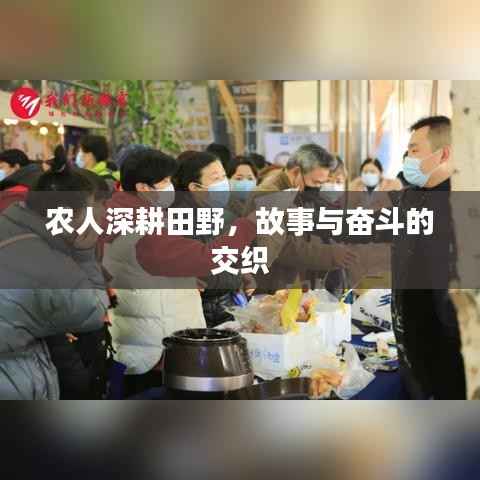 农人深耕田野，故事与奋斗的交织