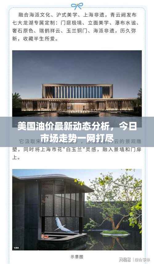 美国油价最新动态分析,今日市场走势一网打尽