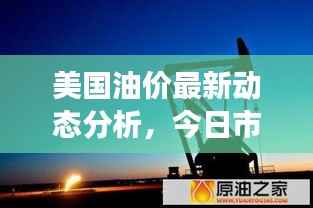 美国油价最新动态分析,今日市场走势一网打尽