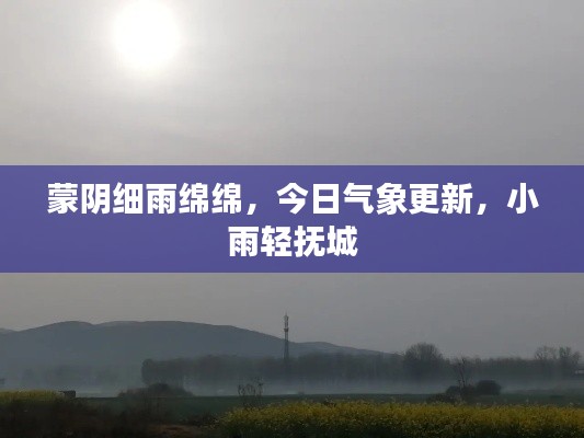 蒙阴细雨绵绵，今日气象更新，小雨轻抚城