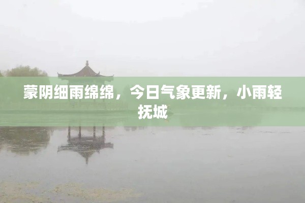 蒙阴细雨绵绵,今日气象更新,小雨轻抚城