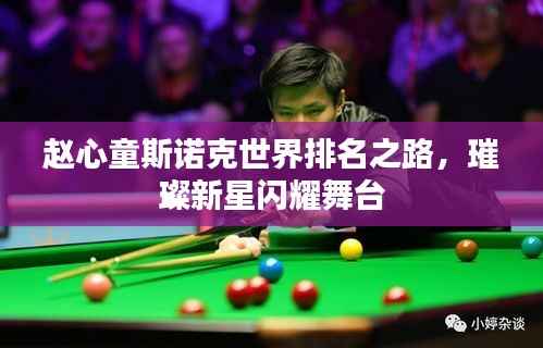 赵心童斯诺克世界排名之路,璀璨新星闪耀舞台