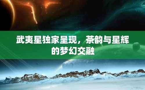 武夷星独家呈现，茶韵与星辉的梦幻交融