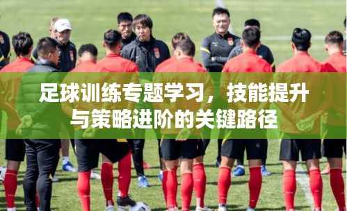 足球训练专题学习，技能提升与策略进阶的关键路径