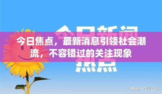 今日焦点,最新消息引领社会潮流,不容错过的关注现象