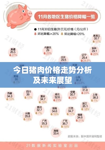 今日猪肉价格走势分析及未来展望