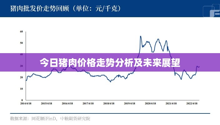 今日猪肉价格走势分析及未来展望