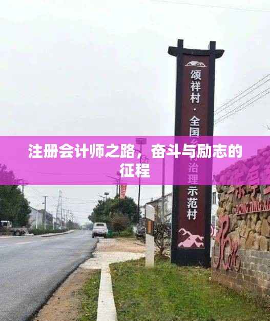 注册会计师之路，奋斗与励志的征程