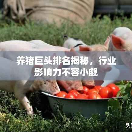 养猪巨头排名揭秘,行业影响力不容小觑