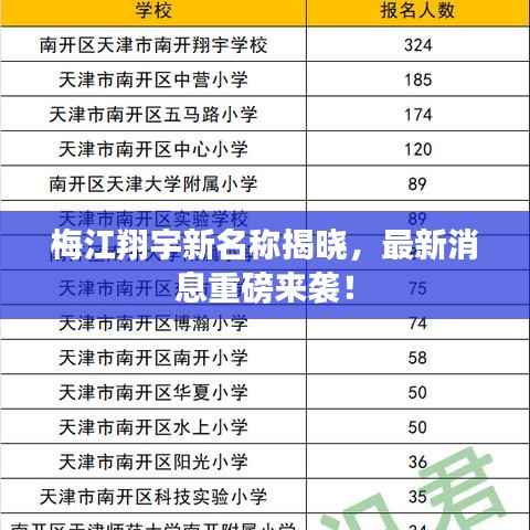 梅江翔宇新名称揭晓,最新消息重磅来袭!