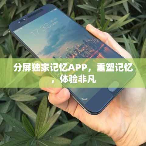 分屏独家记忆APP,重塑记忆,体验非凡