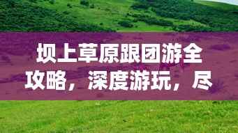 坝上草原跟团游全攻略,深度游玩,尽享草原风情!