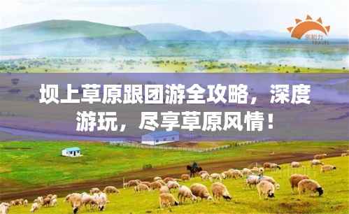 坝上草原跟团游全攻略，深度游玩，尽享草原风情！