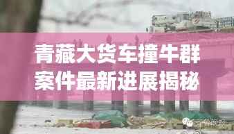 青藏大货车撞牛群案件最新进展揭秘，事故处理最新动态速递