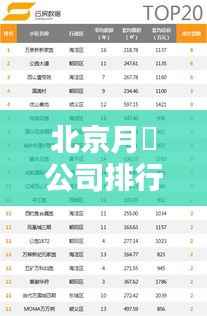 北京月膄公司排行榜及行业影响力深度解析