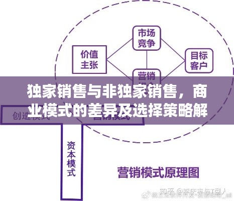 独家销售与非独家销售，商业模式的差异及选择策略解析
