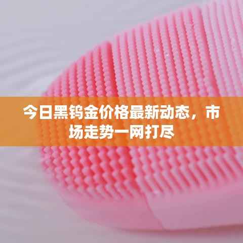 今日黑钨金价格最新动态,市场走势一网打尽