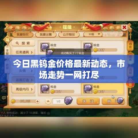 今日黑钨金价格最新动态,市场走势一网打尽