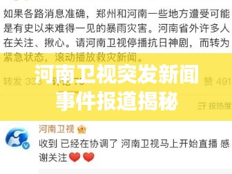 河南卫视突发新闻事件报道揭秘