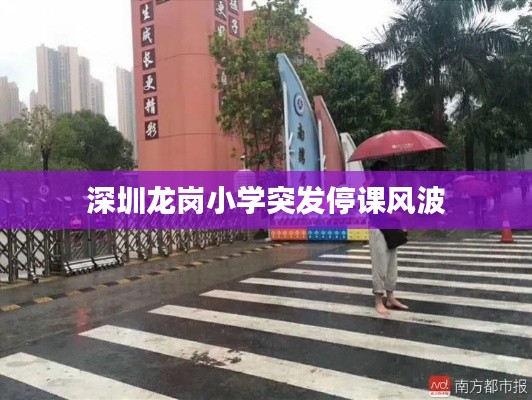 深圳龙岗小学突发停课风波