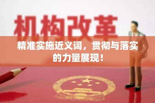 精准实施近义词,贯彻与落实的力量展现!