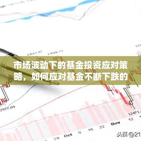 市场波动下的基金投资应对策略,如何应对基金不断下跌的挑战